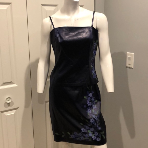 Cache Dresses & Skirts - Hand painted skirt and tank set